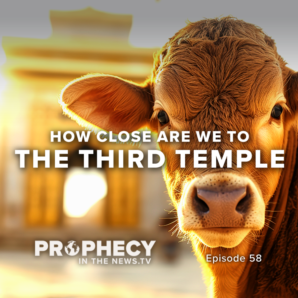 Prophecy in the News TV Episode 54: Is Common Sense Dead?