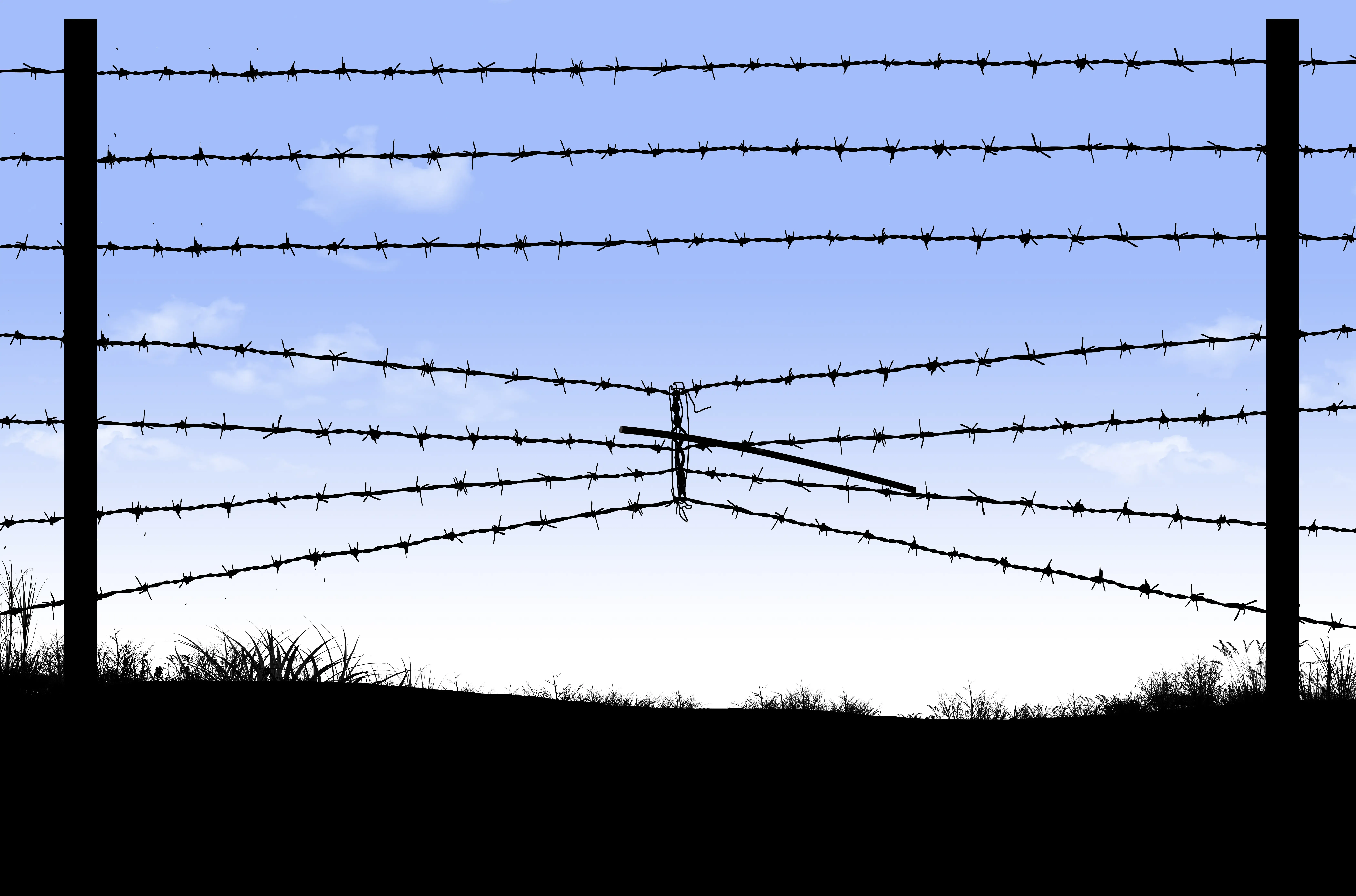 Border Control Crisis