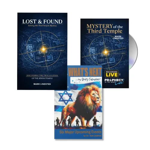 Lost & Found Collection by Mark Lindsted, Rob Lindsted