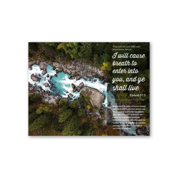 Foretold & Fulfilled 2025 Prophecy Calendar - Image 3