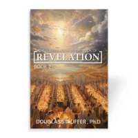 The Illumination of the Book of Revelation Book 2 by Douglas Stauffer