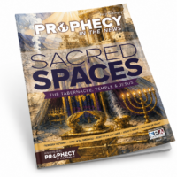 Prophecy in the News Magazine Issue #35
