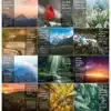 Foretold & Fulfilled 2025 Prophecy Calendar - Image 4