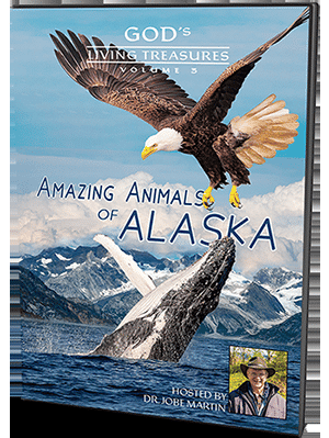 Amazing Animals of Alaska Volume 3 - SWRC