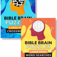 Bible Brain Puzzles Bundles