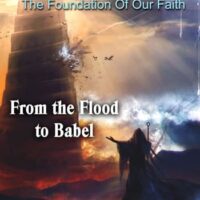 Genesis Vol 3: From the Flood to Babel (DVD) Mac Dominick