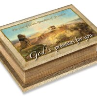 Lion of Judah, God's Promises For You Gift Box