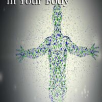 The Gospel in Your Body (DVD Set) Michael Hoggard