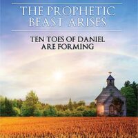 The Prophetic Beast Arises: Ten Toes of Daniel Are Forming (DVD) David Bay - Cutting Edge Films