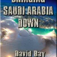 Bringing Saudi Arabia Down (DVD) David Bay