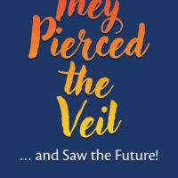 They Pierced the Veil Ebook