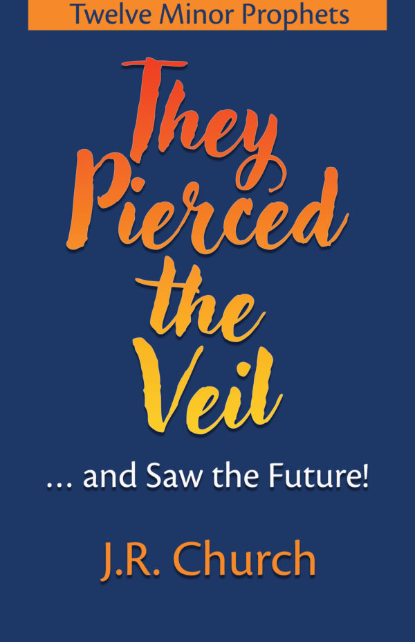 They Pierced the Veil Ebook