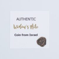 Authentic Coin from Ancient Israel (Widow's mite)