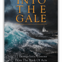 Into The Gale - Larry Stamm