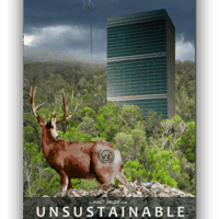 Unsustainable